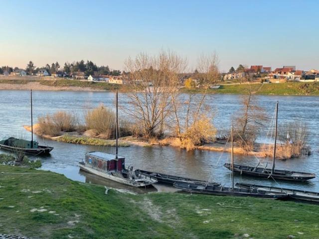 Bed and Breakfast Evasion De Loire Jargeau Exterior foto